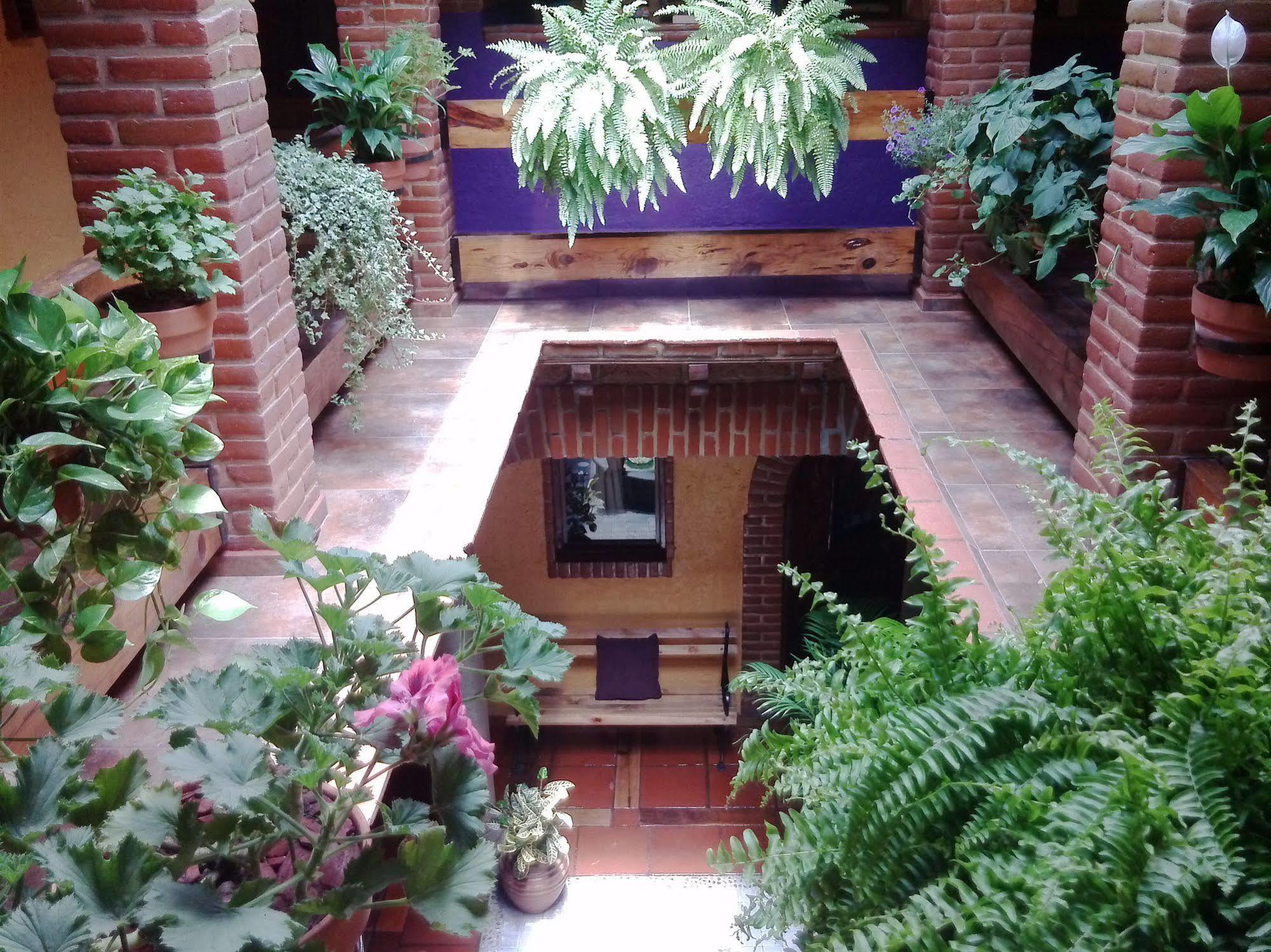 Mex Suites Casa Azul B&B Мехико Экстерьер фото